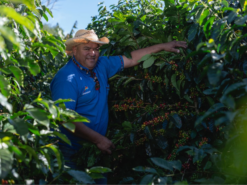 Don Oscar Alonzo: "Quality Above All"